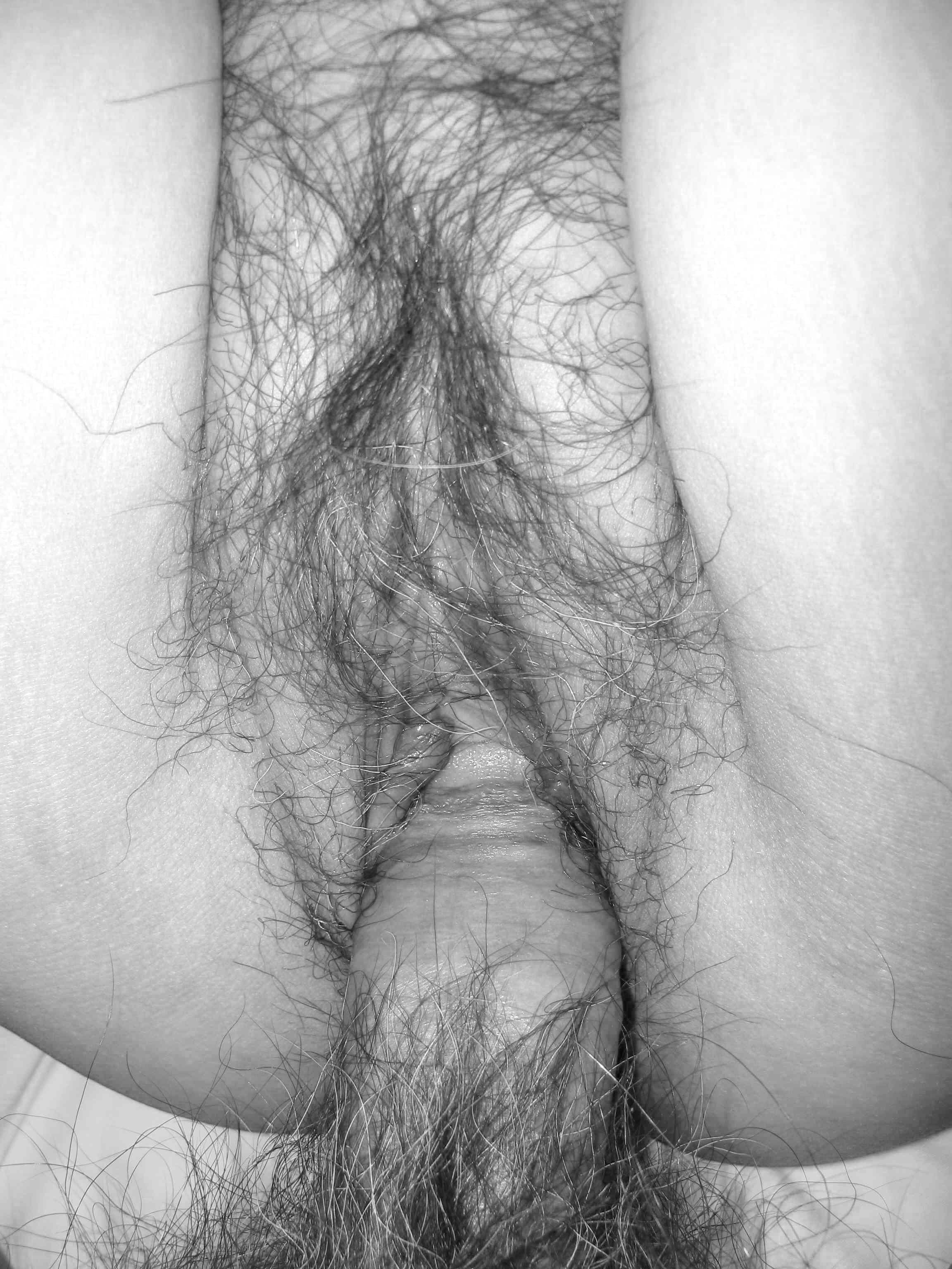 Hairy closeup fuck