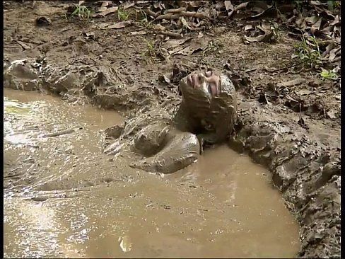 best of Mud sex