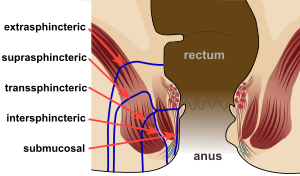 Various amateur cock pics