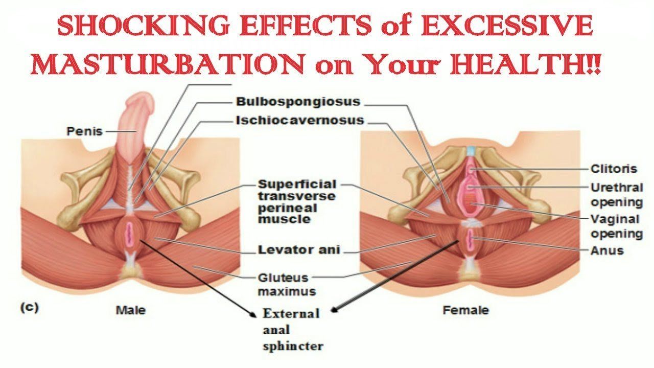 best of Masturbation Anatomy of